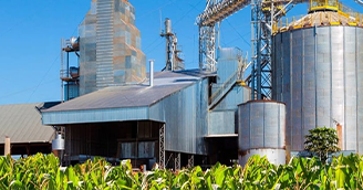 Agriculture and Agribusiness